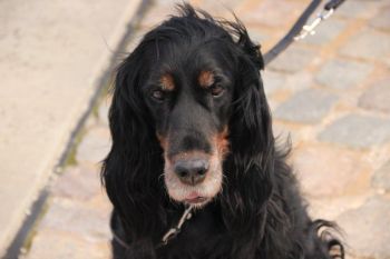 Jana 11 Jahre alt